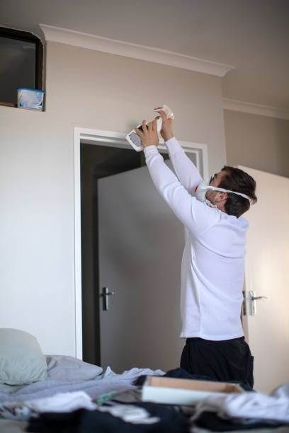 Best Asbestos and Lead Testing During Mold Inspection  in Riverside, CT