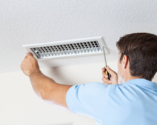 Best Industrial Mold Remediation  in Riverside, CT