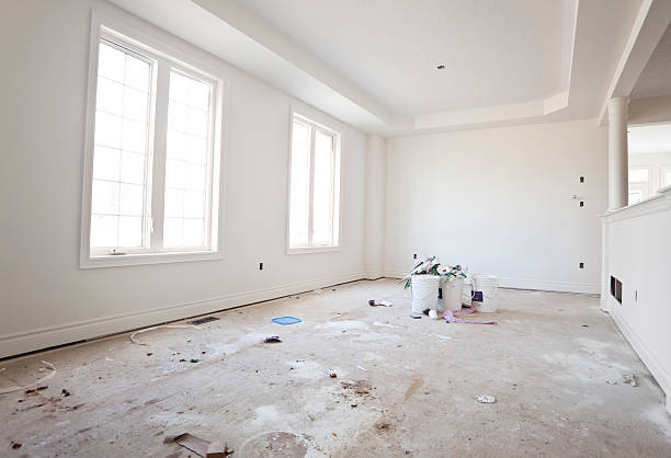 Best Black Mold Removal  in Riverside, CT